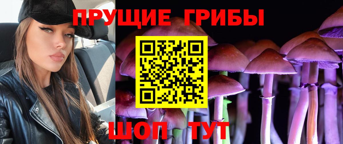 Галлюциногенные грибы мухоморы Железногорск