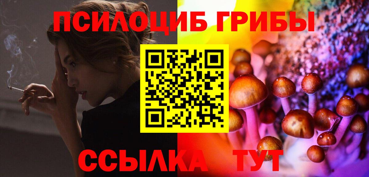 Псилоцибиновые грибы Psilocybe Железногорск