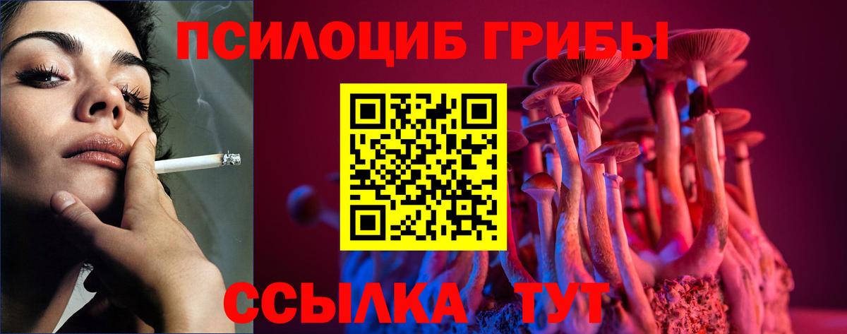 Псилоцибиновые грибы Psilocybine cubensis  Вход с VPN  Псилоцибиновые грибы мицелий  Железногорск 